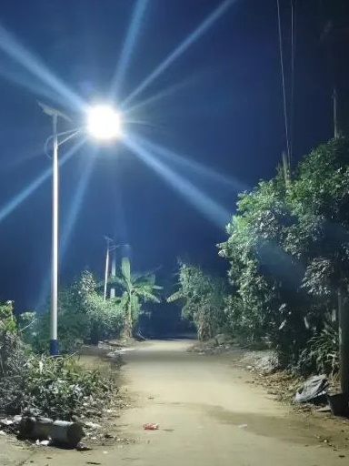 發(fā)家致富道上不抹黑，雁江這一村裝上太陽(yáng)能路燈