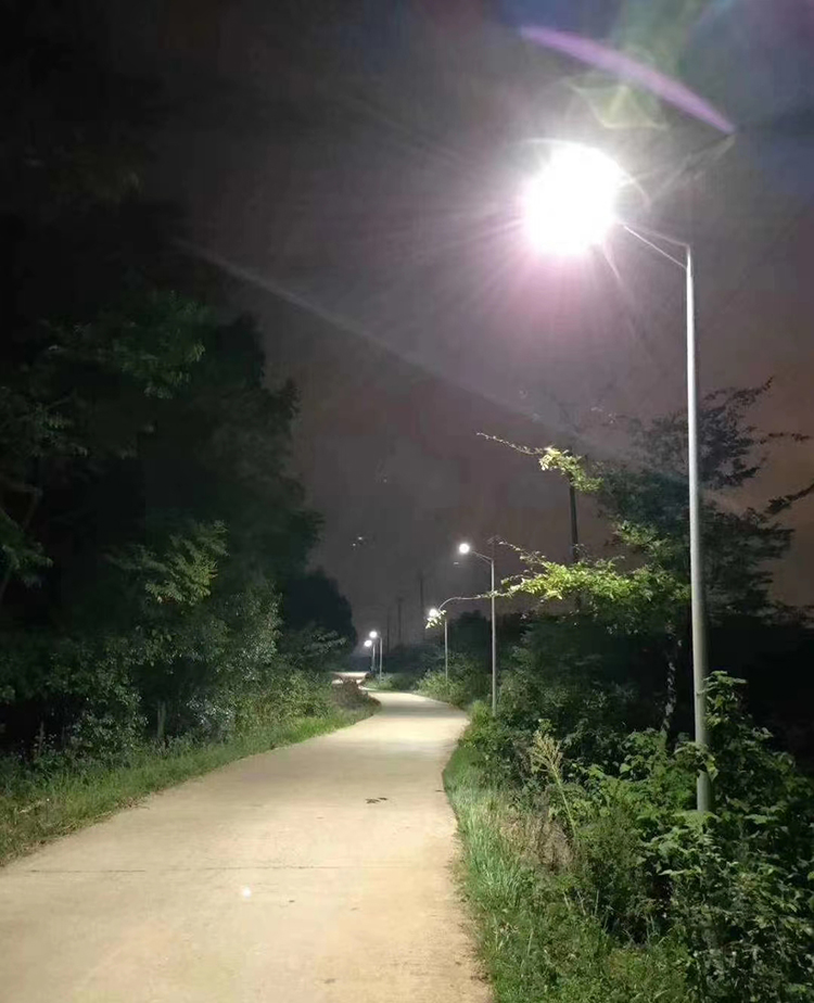 四川太陽能路燈_農(nóng)村太陽能路燈_南德30W太陽能路燈