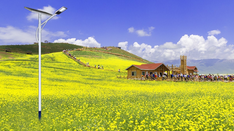 d49a2d60f76bf10f8e0cfc200360446