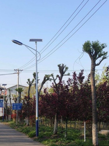 新農(nóng)村建設(shè)首選：0電費(fèi)支出的夜色名片