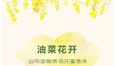 油菜花遍地富貴來(lái)