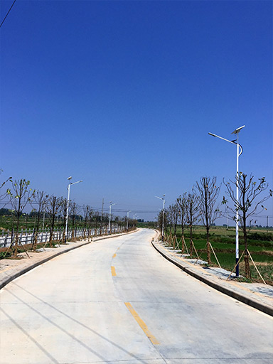 湖北襄陽市龍王鎮(zhèn)太陽能路燈工程案例