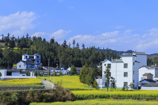 新農(nóng)村道路