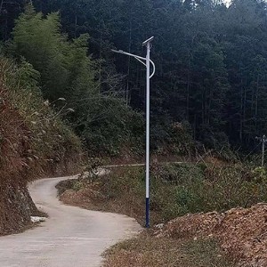 福建省6米太陽(yáng)能路燈龍巖市上杭縣通賢鎮(zhèn)照明