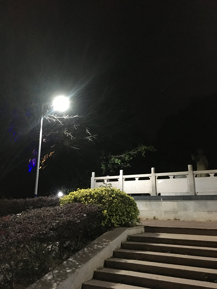 廣東太陽(yáng)能路燈_太陽(yáng)能路燈_公園太陽(yáng)能路燈