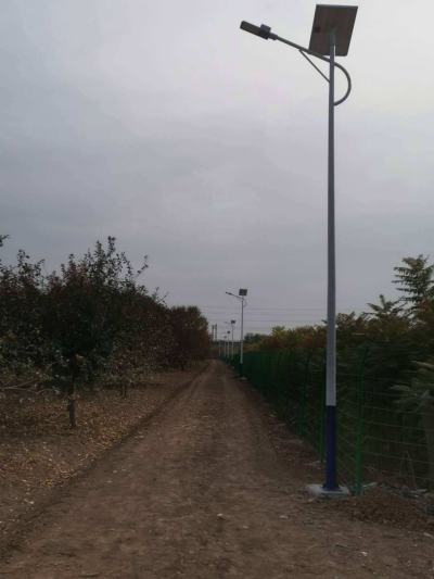 太陽能路燈道路施工實景圖