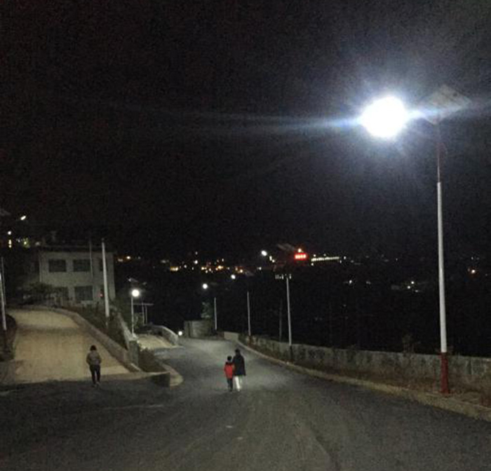 太陽(yáng)能民族特色路燈