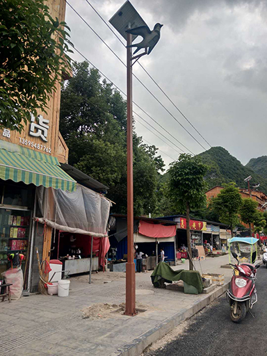 貴州省黔南自治州惠水縣羨塘鄉(xiāng)民族特色太陽(yáng)能路燈實(shí)例