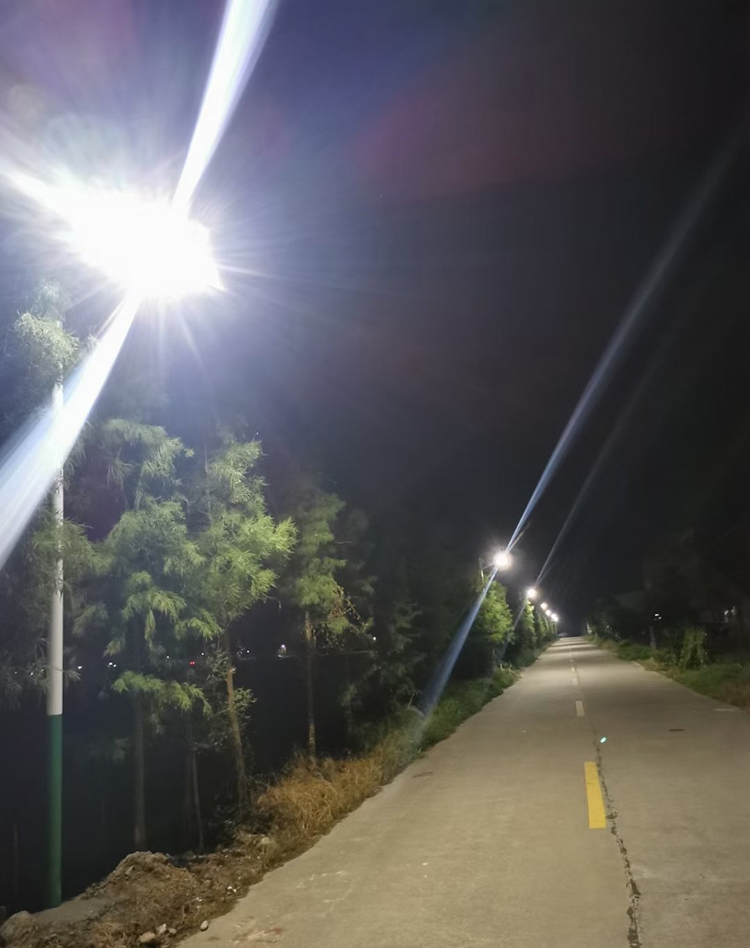 太陽(yáng)能路燈_四川太陽(yáng)能路燈_南德